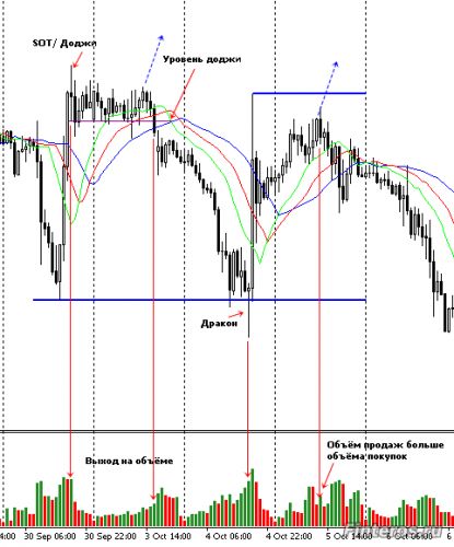 Дракон и доджи